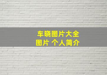 车晓图片大全图片 个人简介